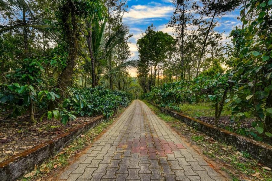 Coorg Bliss Estate Stay Madikeri Buitenkant foto