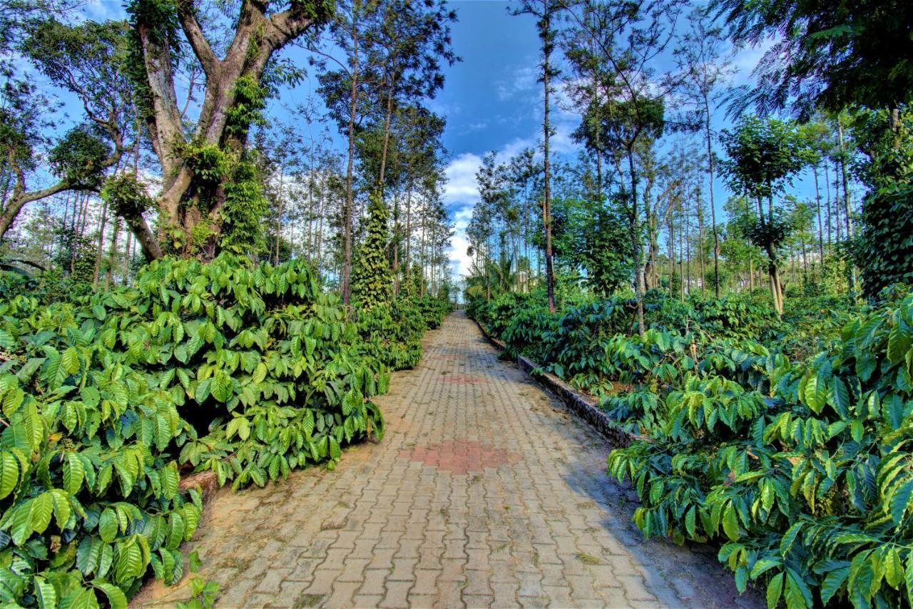 Coorg Bliss Estate Stay Madikeri Buitenkant foto