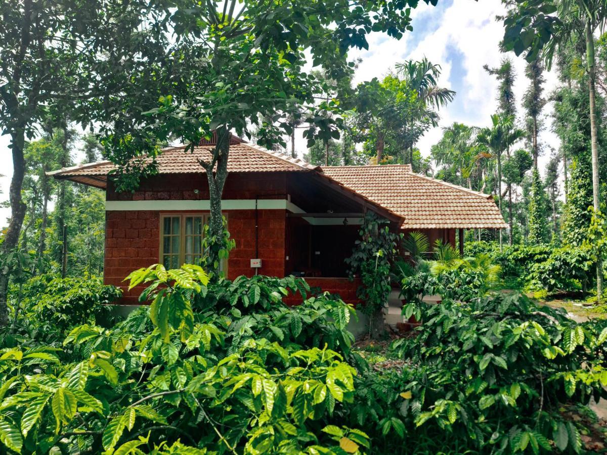 Coorg Bliss Estate Stay Madikeri Buitenkant foto