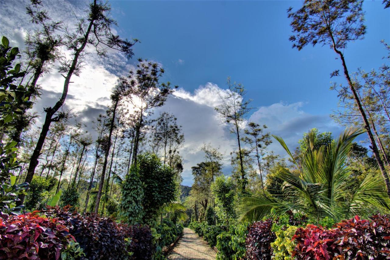 Coorg Bliss Estate Stay Madikeri Buitenkant foto