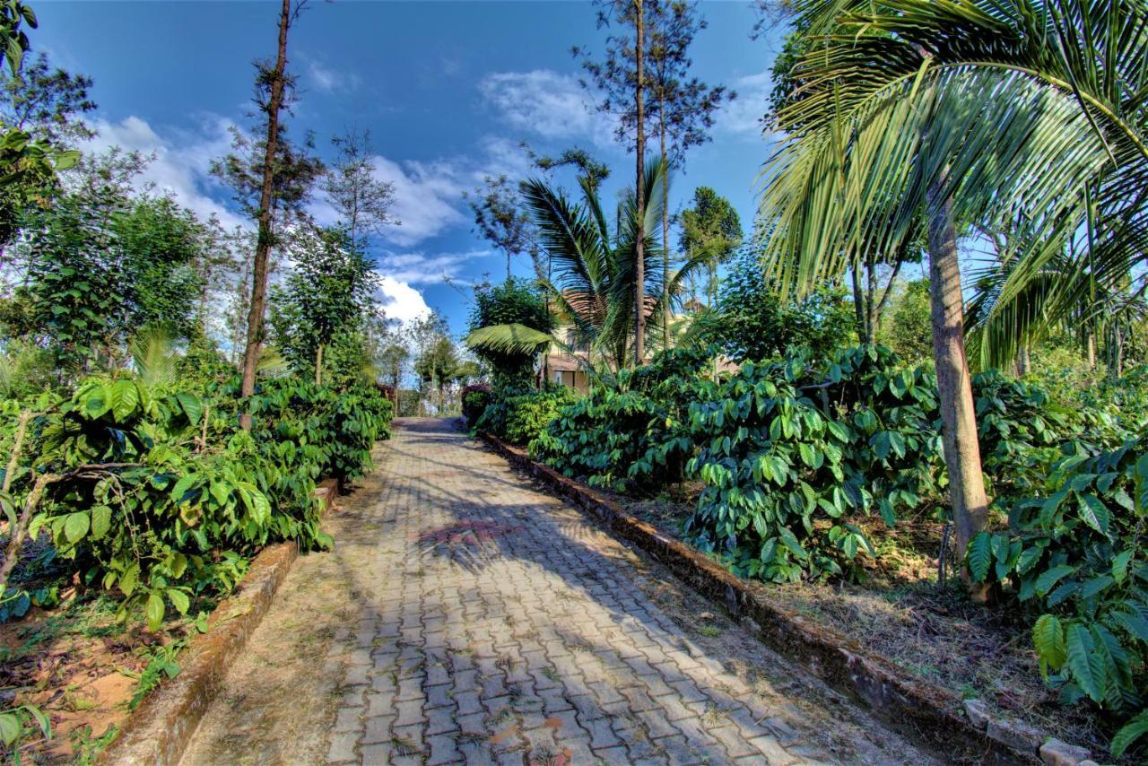 Coorg Bliss Estate Stay Madikeri Buitenkant foto